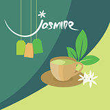 jasmine tea organic drink vector