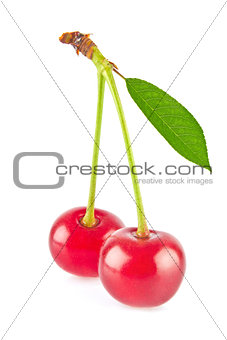 Fresh juicy cherries with green leaf