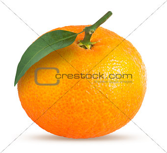 Whole tangerine or mandarin fruit isolated