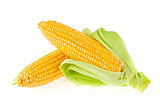 Fresh ripe sweetcorn with green leaves.