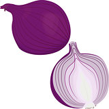 Whole red onion and half of onion isolated on white