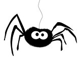 Black silhouette of spider isolated white background . Icon, cli