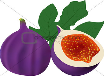 Whole fig with slice solated on white background.