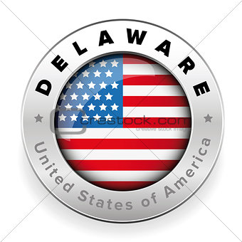 Delaware Usa flag badge button