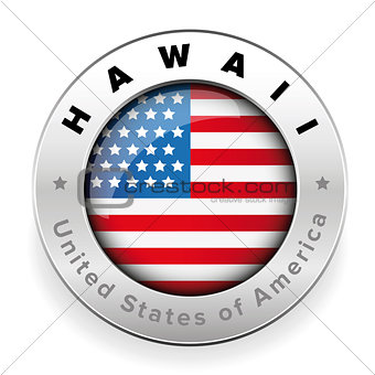 Hawaii Usa flag badge button