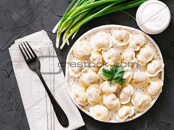 Russian pelmeni, ravioli, dumplings with meat