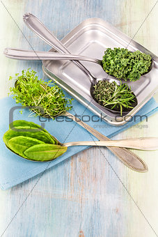 Vitamins - various herbs on spoons 