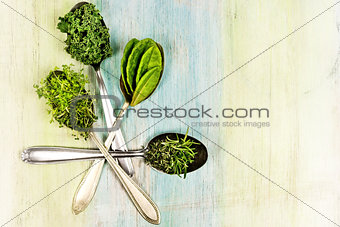 Vitamins - various herbs on spoons