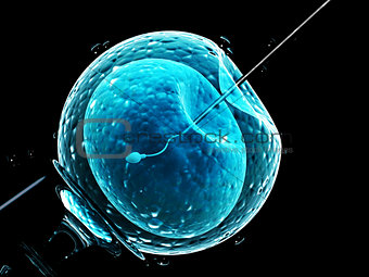 Artificial insemination. Needle puncture the cell membrane