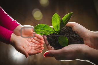 Mother's hand giving young tree to a child for planting together in green nature background