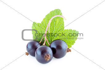 Black currants isolated