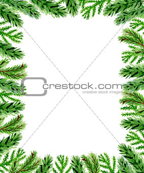 Christmas floral background with fir branch