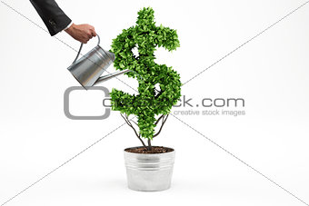Potted plant with dollar shape. 3D Rendering