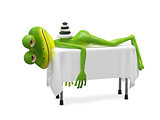 3D Illustration Frog on SPA Procedure