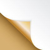 Shape of bent angle is free for filling gold color. Vector Illustration.