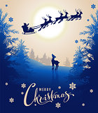 Merry Christmas card design text. Young deer looks up at silhouette Santa sleigh of reindeer in night sky. Winter fairy forest