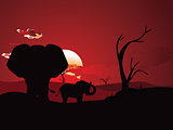 African Sunset with Elephant