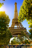 Eiffel Tower in the park
