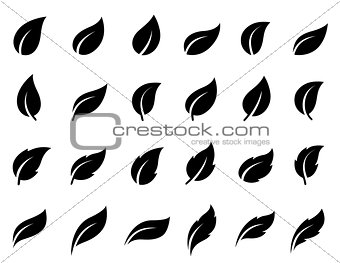 set of isolated leaves icons