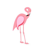Colorful pink flamingo isolated on white background. Vector Illu