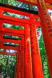 Fushimi Inari Taisha torii, Kyoto, Japan