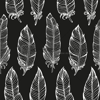 Seamless pattern. Hand drawn bird feathers. Vector illustration