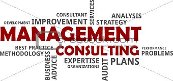word cloud - management consulting