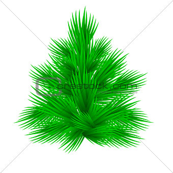 Lush fir tree Isolated on white vector illustration.
