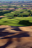 Sunlit rolling hills of farmland of Palouse region of Washington State America from Steptoe Butte in Spring