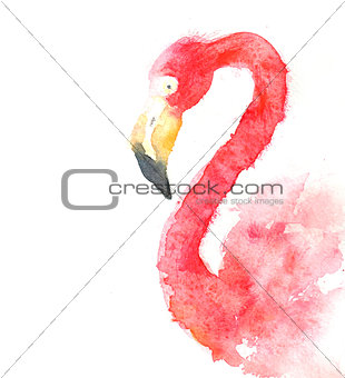 Illustration of a watercolor portrait of a red flamingo 