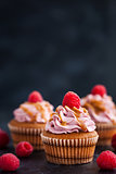 Raspberry and caramel cupcakes on dark background