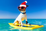 surfer christmas santa claus dog 