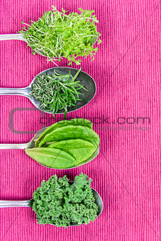Vitamins - various herbs on spoons 