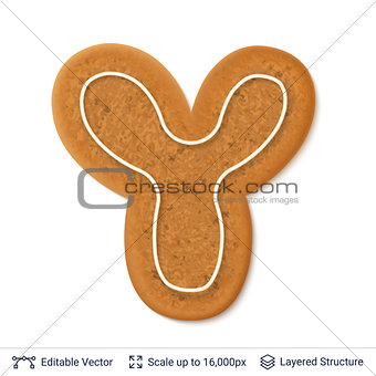 Gingerbread letter Y isolated on white.