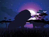 African Night with Lion