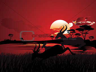 Sunset Landscape with Antelopes