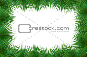Colorful naturalistic frame from the leaf palm. Vector Illustrat