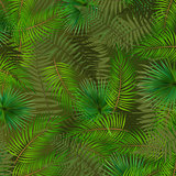 Colorful naturalistic background from the leaf of Libistones (Pa