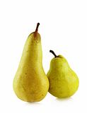 two ripe spotted pears
