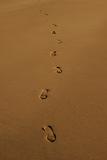 footprints 2