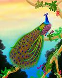 Green Peacock in the Jungle