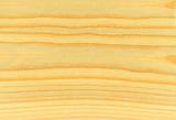 pine wood texture