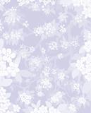 Cherry Blossom Background in Blue