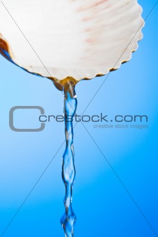 Seashell Water