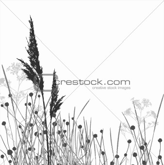 Grass silhouettes / vector / elements are separated