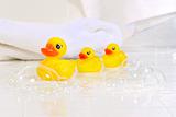 Three little rubber ducks