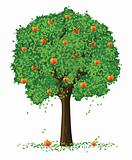 vector silhouette of apple tree with fruits