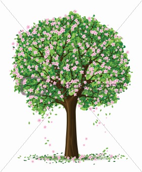 vector silhouette of spring season tree