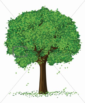 vector silhouette of summer season tree