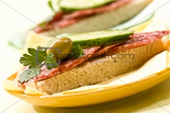 sandwich with salami